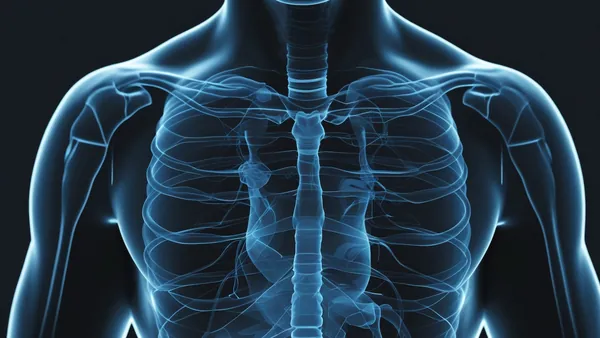 Ilustração médica em estilo radiográfico com brilho azul sobre fundo preto